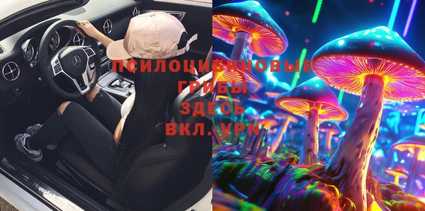 твердый Алексеевка