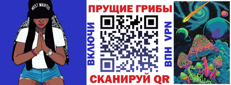 omg   Сосновоборск  Галлюциногенные грибы Cubensis 